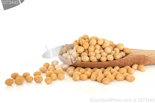 Image of Soya Beans