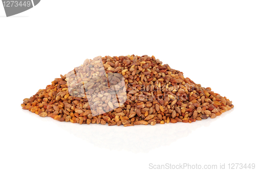 Image of Bilta Seed