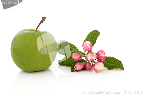 Image of Granny Smith Apple