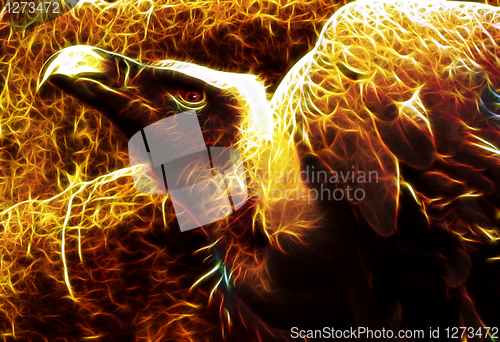 Image of Image of Flaming Vulture from hell