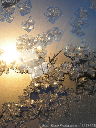 Image of frost and sun