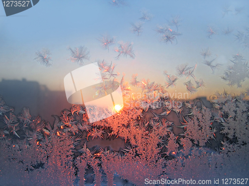 Image of frost and sun