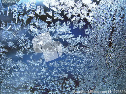 Image of frosty natural pattern