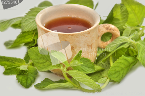 Image of Cup of tea useful to health