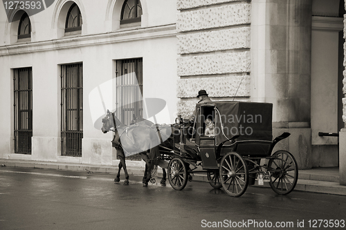 Image of Boy in Vinnese horse cab