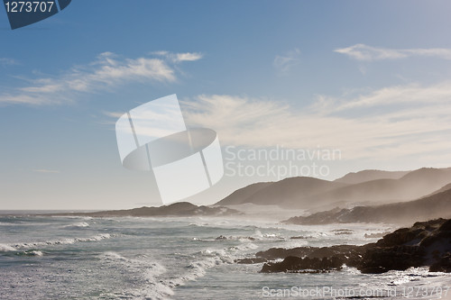 Image of Coastline at the Cape of Good Hope