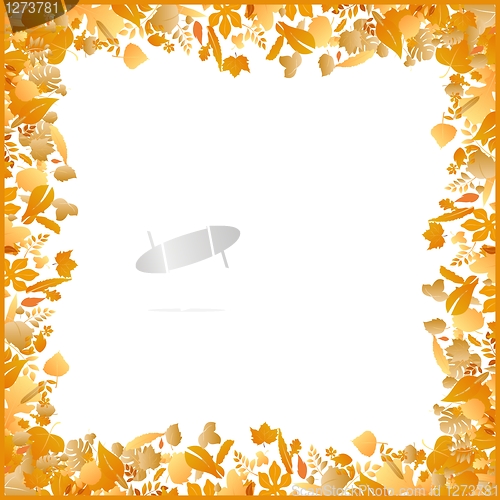 Image of autumn frame made of various leaves