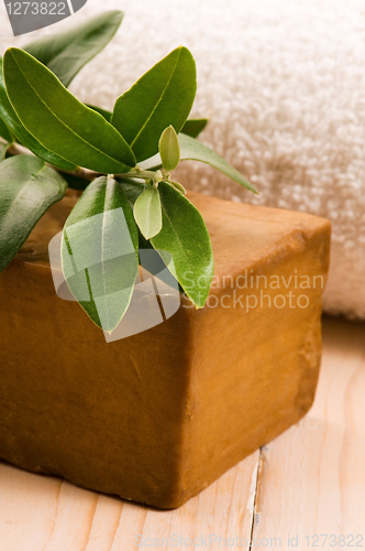 Image of Natural Olive Soap With Fresh Branch