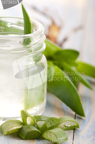 Image of aloe vera juice with fresh leaves