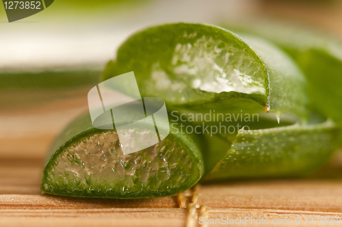 Image of aloe vera juice with fresh leaves