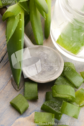 Image of aloe vera juice with fresh leaves