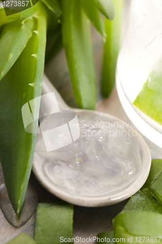 Image of aloe vera juice with fresh leaves