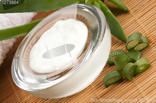 Image of aloe vera - leaves and face cream