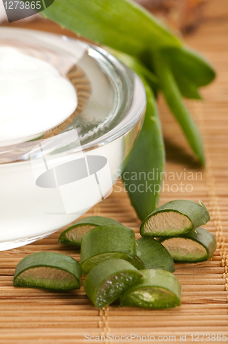 Image of aloe vera - leaves and face cream