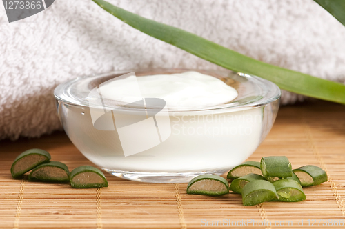 Image of aloe vera - leaves and face cream