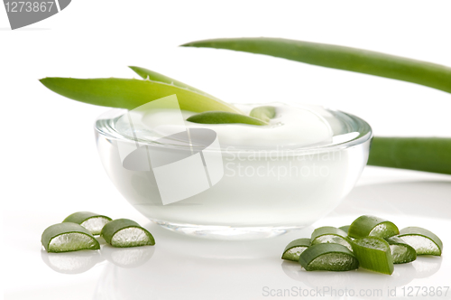 Image of aloe vera - leaves and face cream