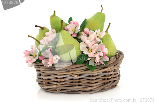 Image of Pears and Flower Blossom