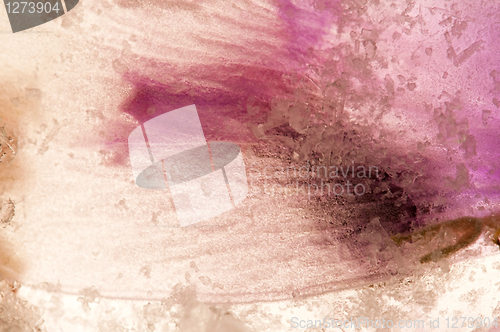 Image of Frozen flowers. blossoms in the ice cube