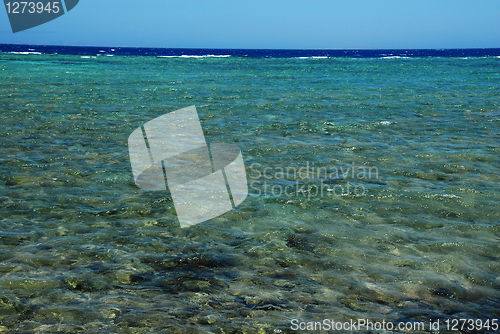 Image of Red sea Egypt