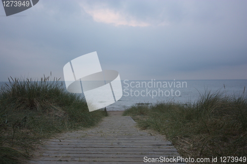 Image of Tylø beach
