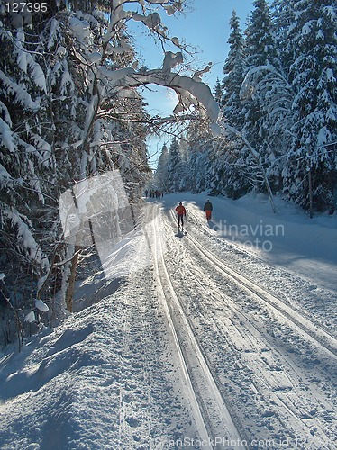 Image of Skiing in the sun