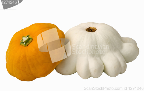 Image of squash