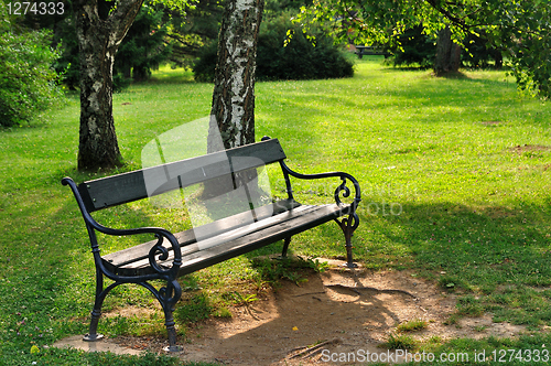 Image of Bench in park