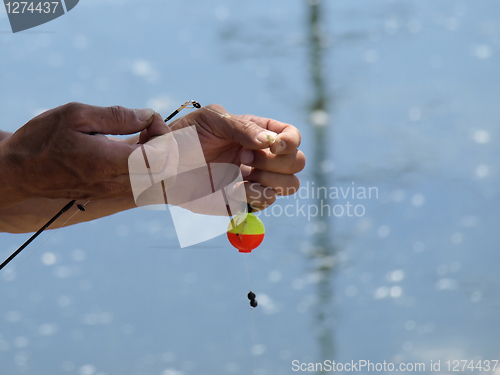 Image of Checking Bait