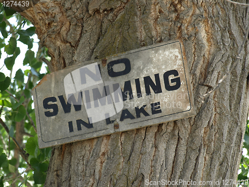 Image of No Swimming In Lake