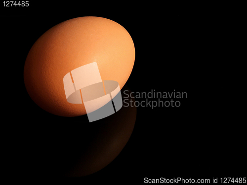 Image of Egg