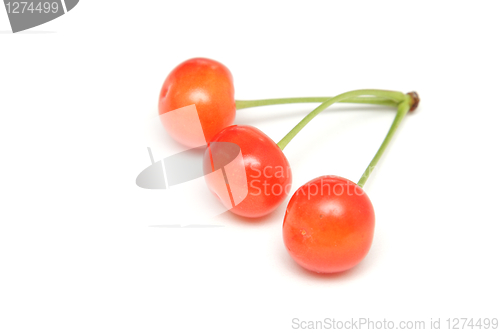 Image of Cherries