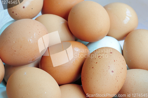 Image of Eggs