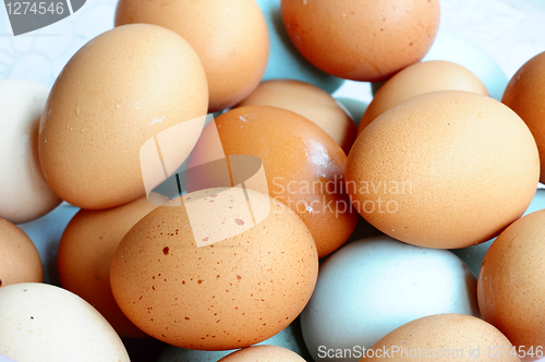 Image of Eggs