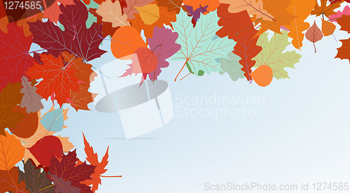 Image of Autumn colorful background. EPS 8