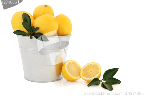 Image of Lemon Fruit