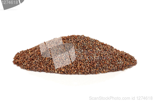 Image of Perilla Seed