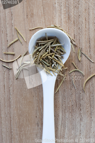 Image of Spoon of Rosemary