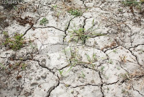 Image of Cracked and Parched Dry Land in Drought