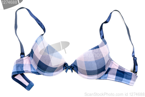 Image of blue checkered bra