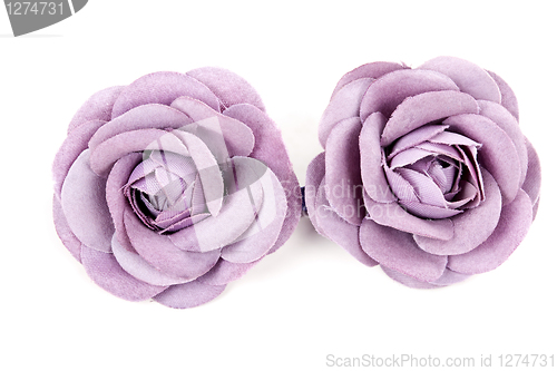 Image of purple flower from tissue