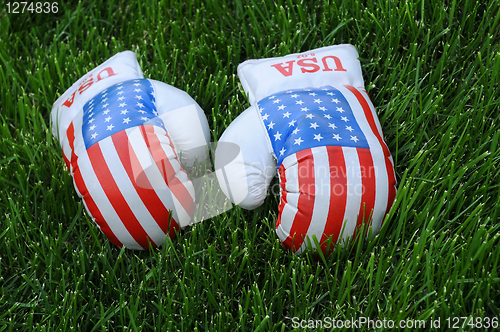 Image of Boxing Gloves with US Flag Image on the Lawn