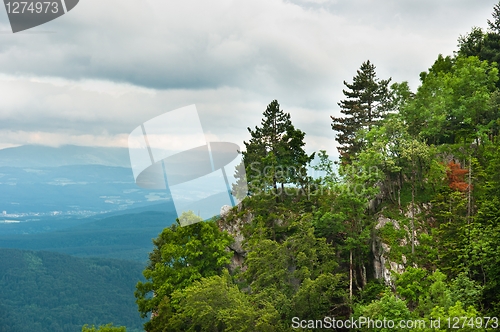 Image of Beautiful mountains with lots of trees and clouds in background