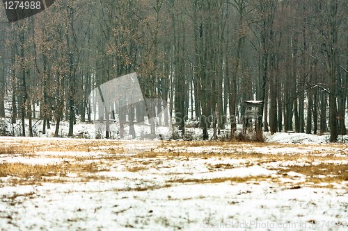 Image of wildlife watching hut in winter forest