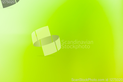 Image of Abstract green gradient background