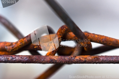 Image of Barbed wire with selective focus