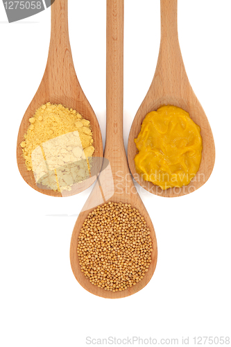 Image of Mustard Selection