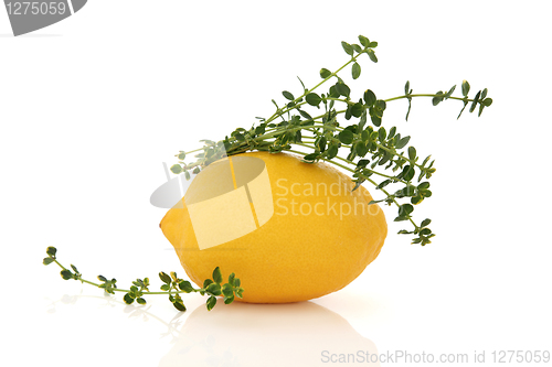 Image of Lemon Fruit and Thyme Herb