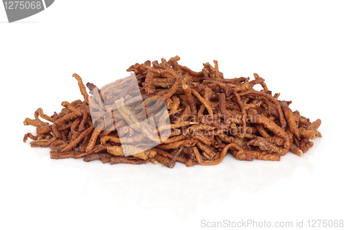 Image of Senega Root