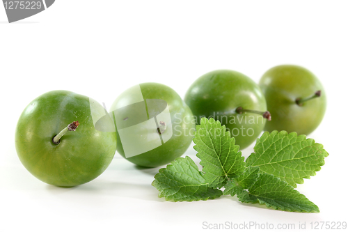 Image of Mirabelle
