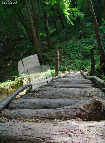 Image of Wooden brige